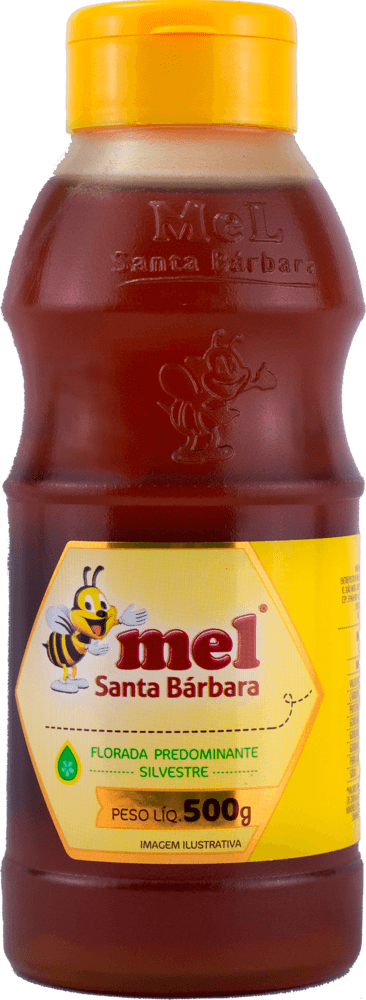 Mel Santa Bárbara Bisnaga Silvestre 500g