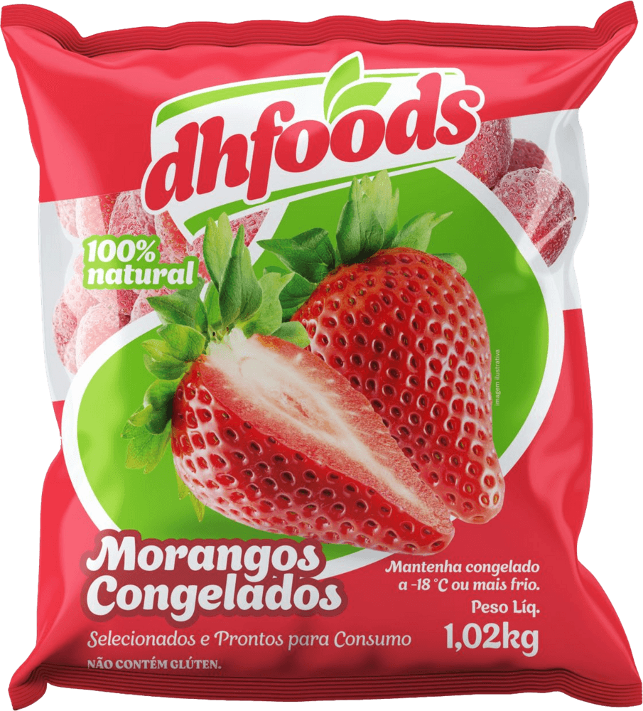 FRUTA CONGELADA DHFOODS 1,02KG MORANGO